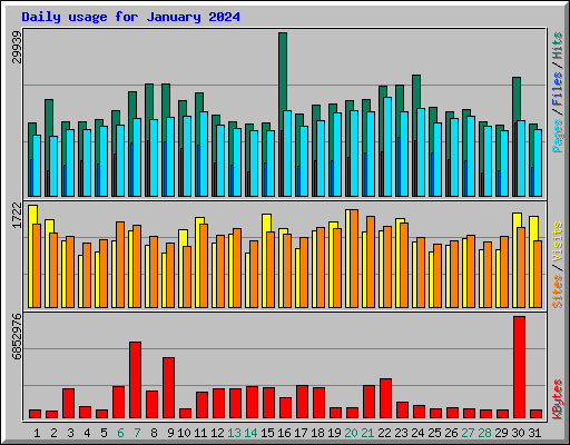 Daily usage for January 2024