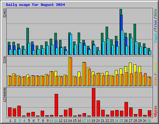 Daily usage for August 2024