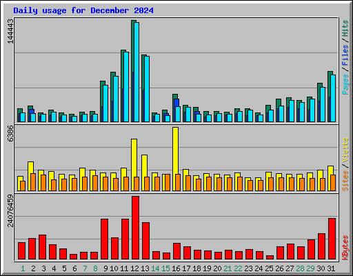 Daily usage for December 2024
