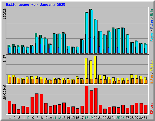 Daily usage for January 2025