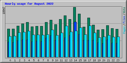 Hourly usage for August 2022