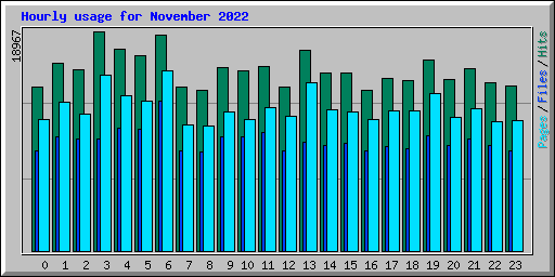 Hourly usage for November 2022