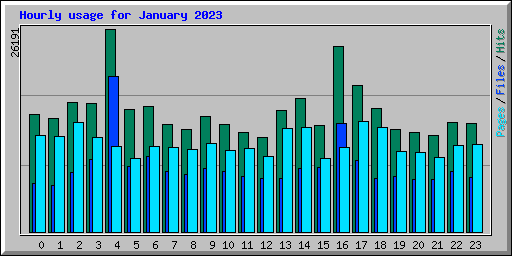 Hourly usage for January 2023