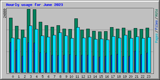 Hourly usage for June 2023