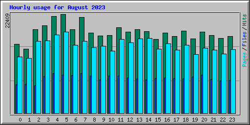 Hourly usage for August 2023