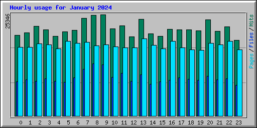 Hourly usage for January 2024