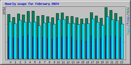 Hourly usage for February 2024