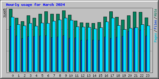 Hourly usage for March 2024