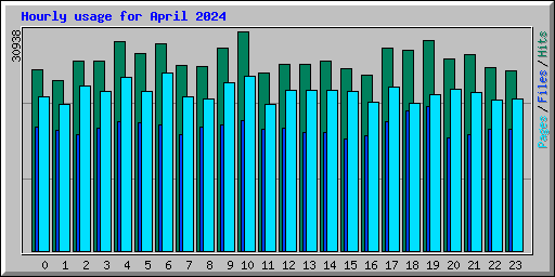 Hourly usage for April 2024