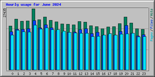 Hourly usage for June 2024