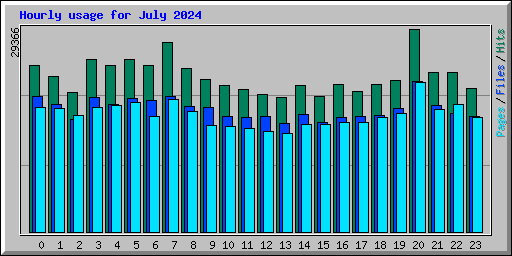 Hourly usage for July 2024
