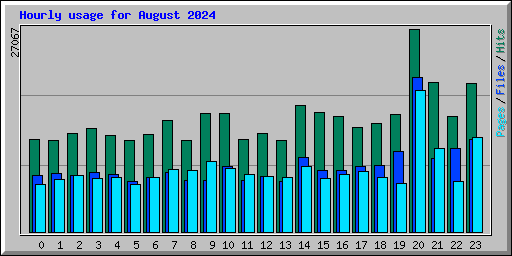 Hourly usage for August 2024