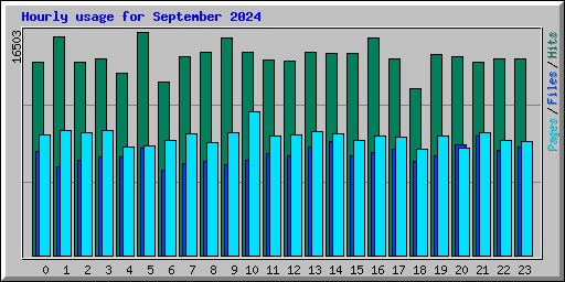 Hourly usage for September 2024