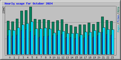 Hourly usage for October 2024