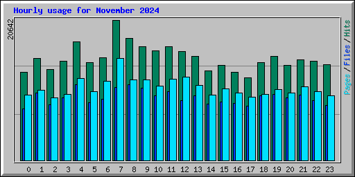 Hourly usage for November 2024