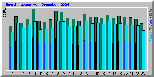 Hourly usage for December 2024