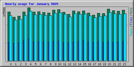 Hourly usage for January 2025