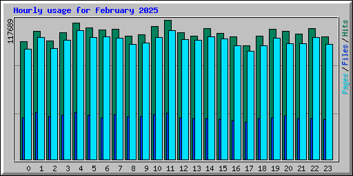 Hourly usage for February 2025